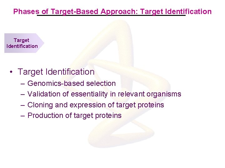 Phases of Target-Based Approach: Target Identification • Target Identification – – Genomics-based selection Validation