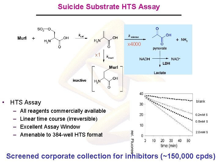 Suicide Substrate HTS Assay x 4000 x 1 • HTS Assay – – All