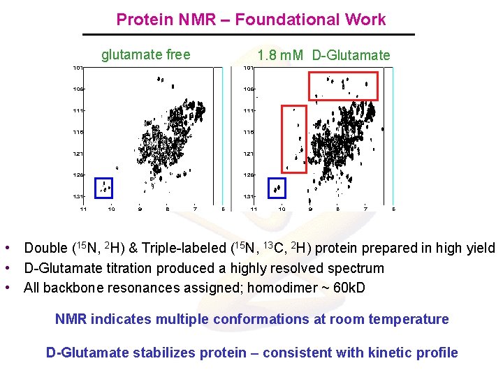 Protein NMR – Foundational Work glutamate free 1. 8 m. M D-Glutamate • Double