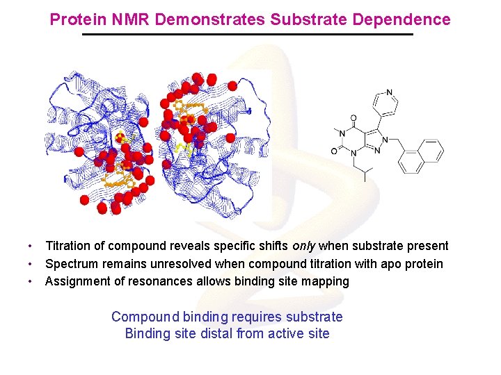 Protein NMR Demonstrates Substrate Dependence Black = D-Glu + Mur. I Red = D-Glu