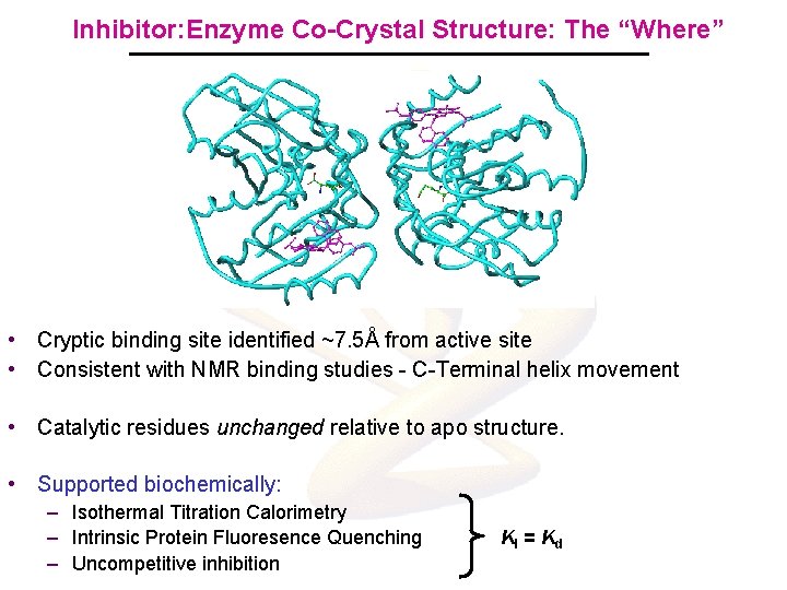 Inhibitor: Enzyme Co-Crystal Structure: The “Where” • Cryptic binding site identified ~7. 5Å from