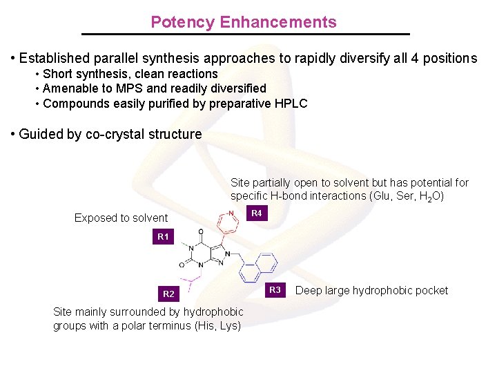 Potency Enhancements • Established parallel synthesis approaches to rapidly diversify all 4 positions •