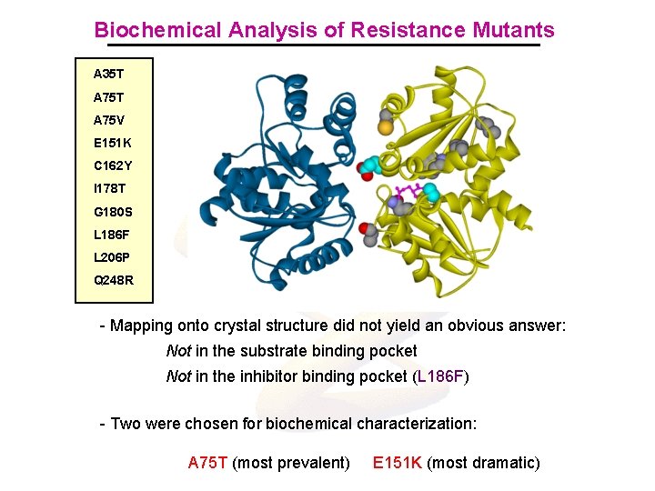 Biochemical Analysis of Resistance Mutants A 35 T A 75 V E 151 K