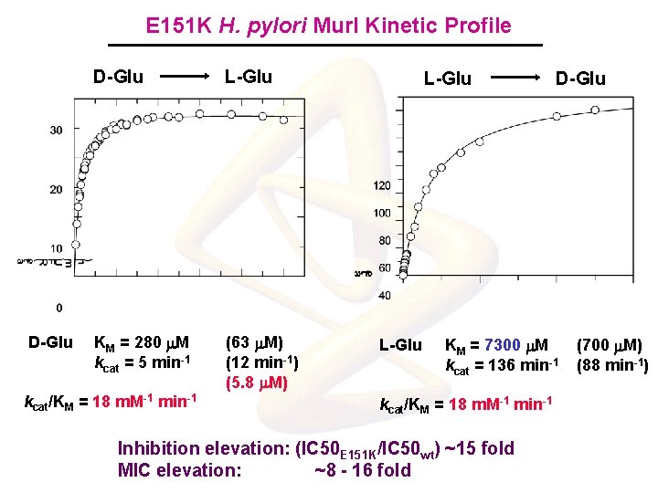 E 151 K H. pylori Mur. I Kinetic Profile D-Glu L-Glu KM = 280