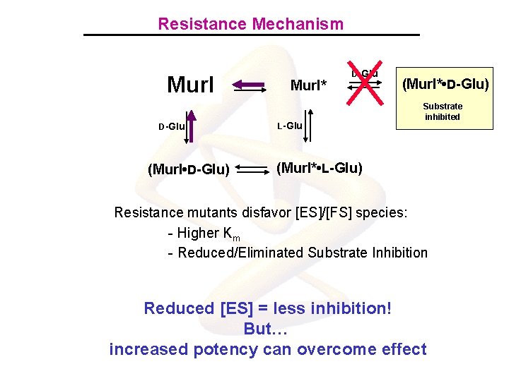 Resistance Mechanism Mur. I D-Glu (Mur. I • D-Glu) Mur. I* D-Glu L-Glu (Mur.