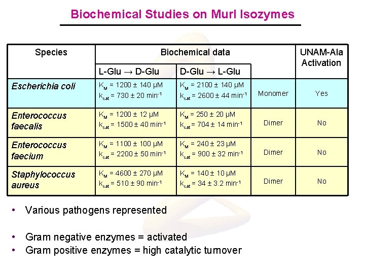 Biochemical Studies on Mur. I Isozymes Species Biochemical data L-Glu → D-Glu → L-Glu