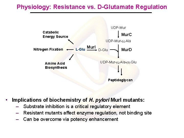 Physiology: Resistance vs. D-Glutamate Regulation UDP-Mur Catabolic Energy Source Mur. C UDP-Mur-(L) Ala Nitrogen