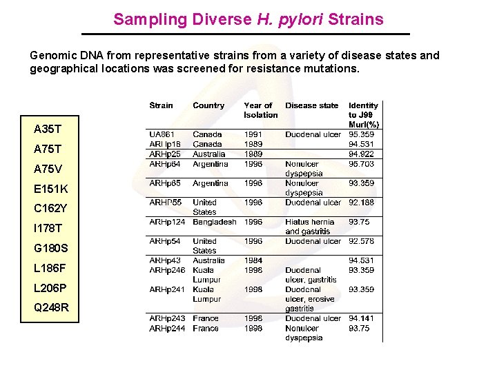 Sampling Diverse H. pylori Strains Genomic DNA from representative strains from a variety of