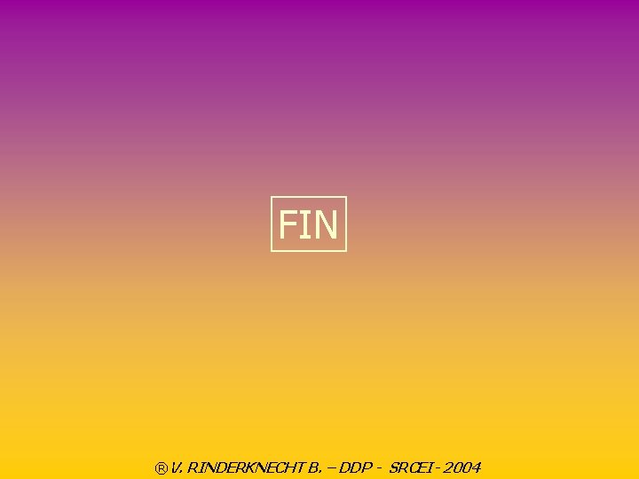 FIN ®V. RINDERKNECHT B. – DDP - SRCEI- 2004 
