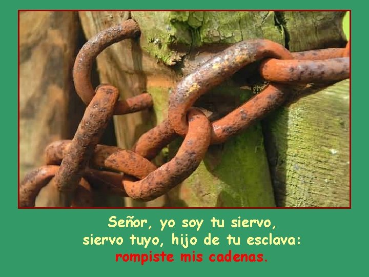 Señor, yo soy tu siervo, siervo tuyo, hijo de tu esclava: rompiste mis cadenas. Señor, yo soy tu siervo, siervo tuyo, hijo de tu esclava: rompiste mis cadenas.