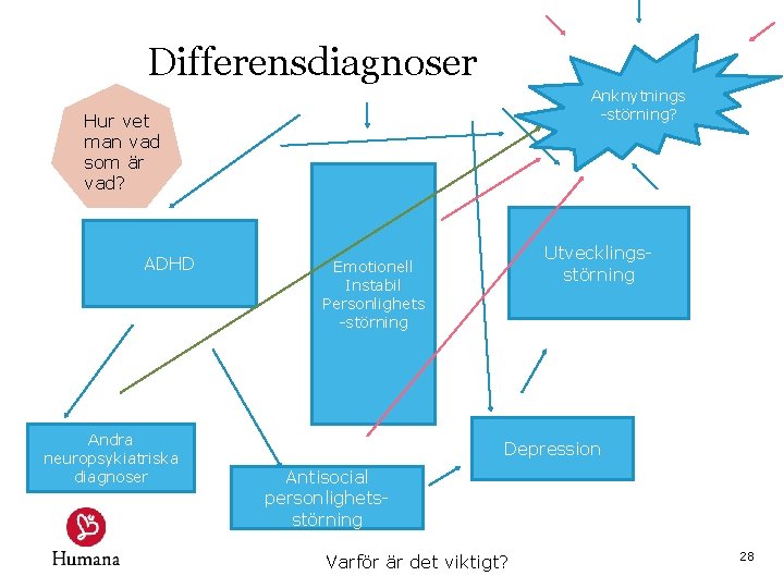 Differensdiagnoser Anknytnings -störning? Hur vet man vad som är vad? ADHD Andra neuropsykiatriska diagnoser