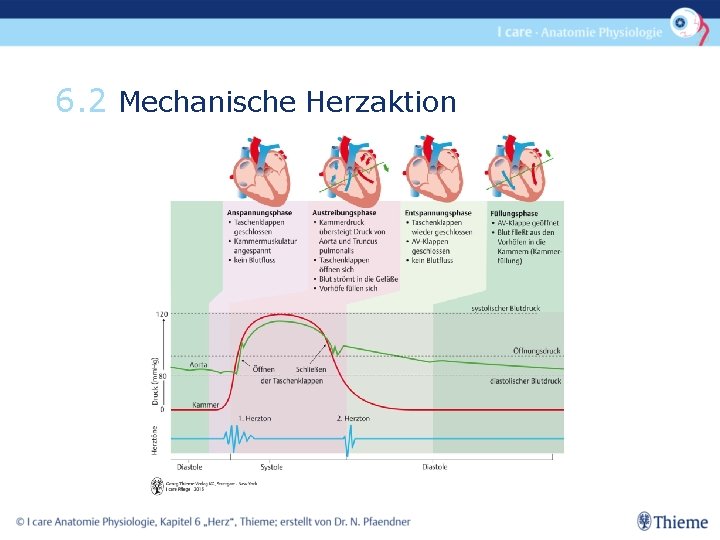 Herzzyklus 4 Phasen Einfach Erklärt Herz Im berblick 1 2 3 4 5