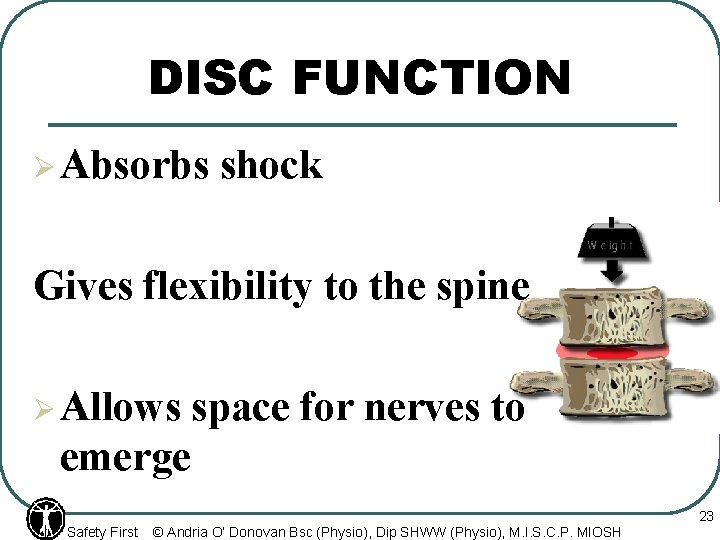 DISC FUNCTION Ø Absorbs shock Gives flexibility to the spine Ø Allows space for
