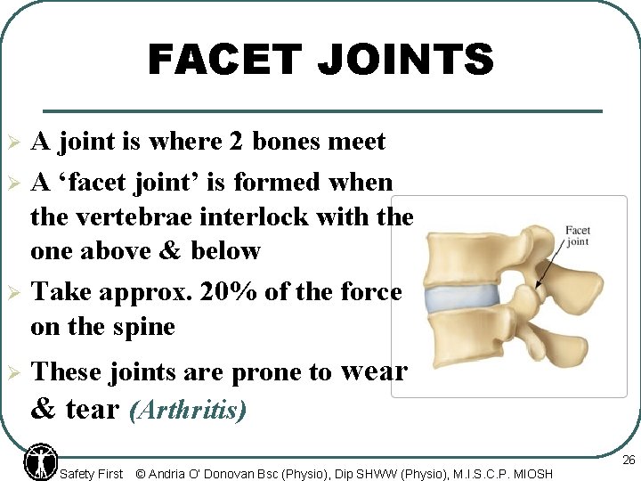 FACET JOINTS A joint is where 2 bones meet Ø A ‘facet joint’ is