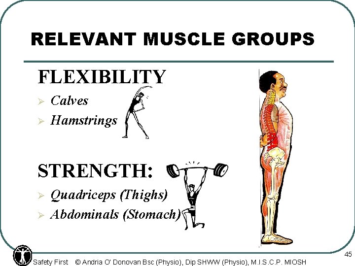 RELEVANT MUSCLE GROUPS FLEXIBILITY Ø Ø Calves Hamstrings STRENGTH: Ø Ø Quadriceps (Thighs) Abdominals