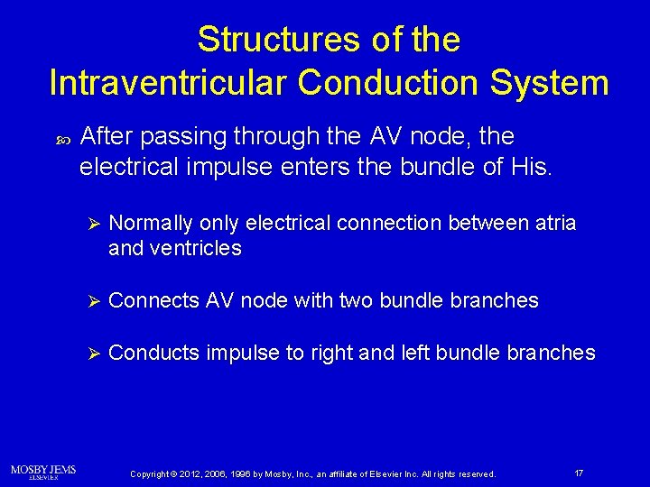 Structures of the Intraventricular Conduction System After passing through the AV node, the electrical