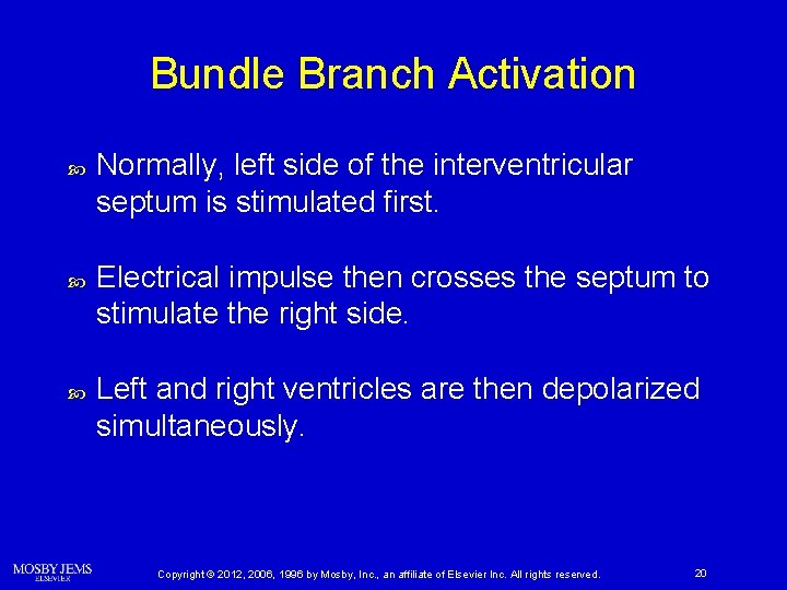 Bundle Branch Activation Normally, left side of the interventricular septum is stimulated first. Electrical