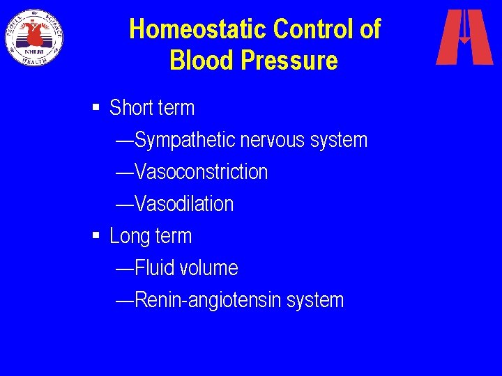 Homeostatic Control of Blood Pressure § Short term —Sympathetic nervous system —Vasoconstriction —Vasodilation §