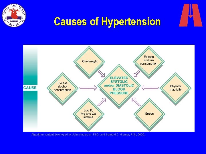 Causes of Hypertension Algorithm content developed by John Anderson, Ph. D, and Sanford C.