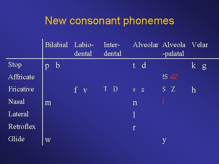 New consonant phonemes Bilabial Labiodental Stop Interdental p b Alveolar Alveola Velar -palatal t