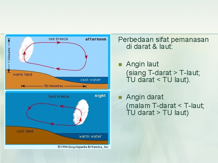 Perbedaan sifat pemanasan di darat & laut: n Angin laut (siang T-darat > T-laut;