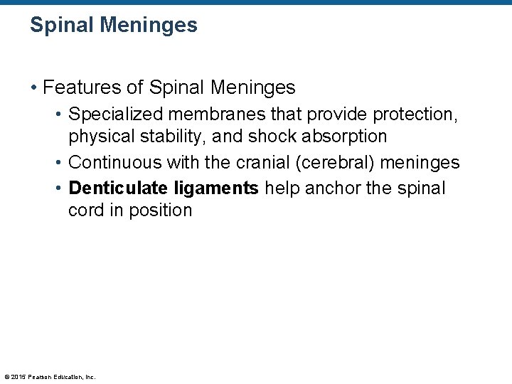 Spinal Meninges • Features of Spinal Meninges • Specialized membranes that provide protection, physical