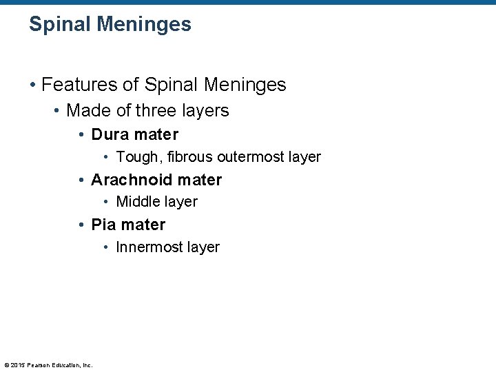 Spinal Meninges • Features of Spinal Meninges • Made of three layers • Dura