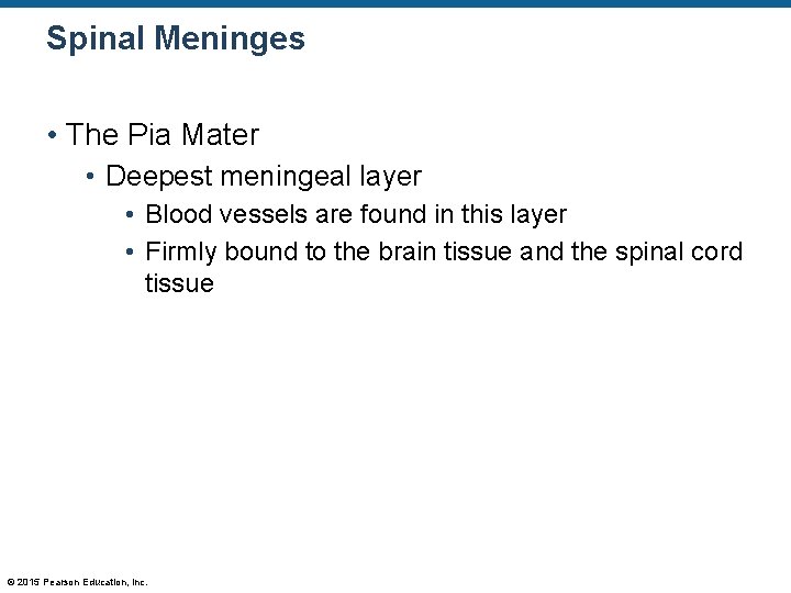 Spinal Meninges • The Pia Mater • Deepest meningeal layer • Blood vessels are