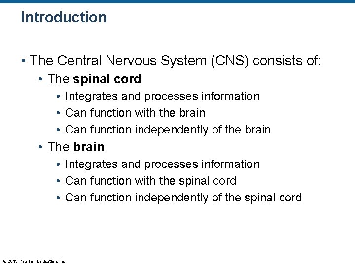Introduction • The Central Nervous System (CNS) consists of: • The spinal cord •