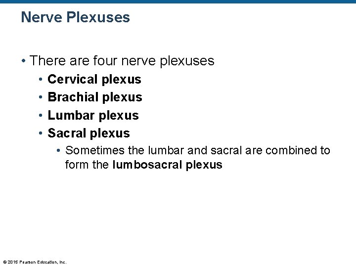 Nerve Plexuses • There are four nerve plexuses • • Cervical plexus Brachial plexus