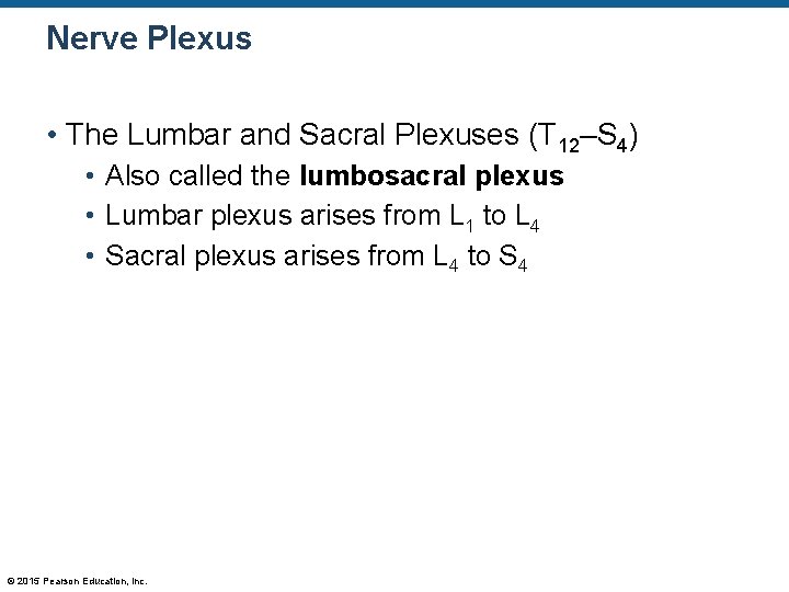 Nerve Plexus • The Lumbar and Sacral Plexuses (T 12–S 4) • Also called