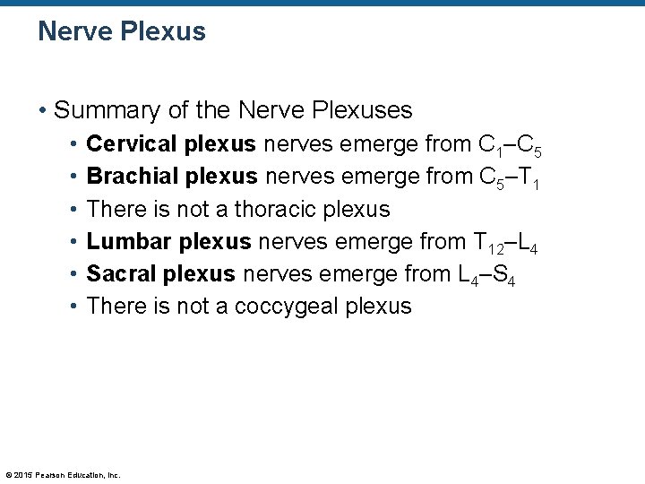 Nerve Plexus • Summary of the Nerve Plexuses • • • Cervical plexus nerves