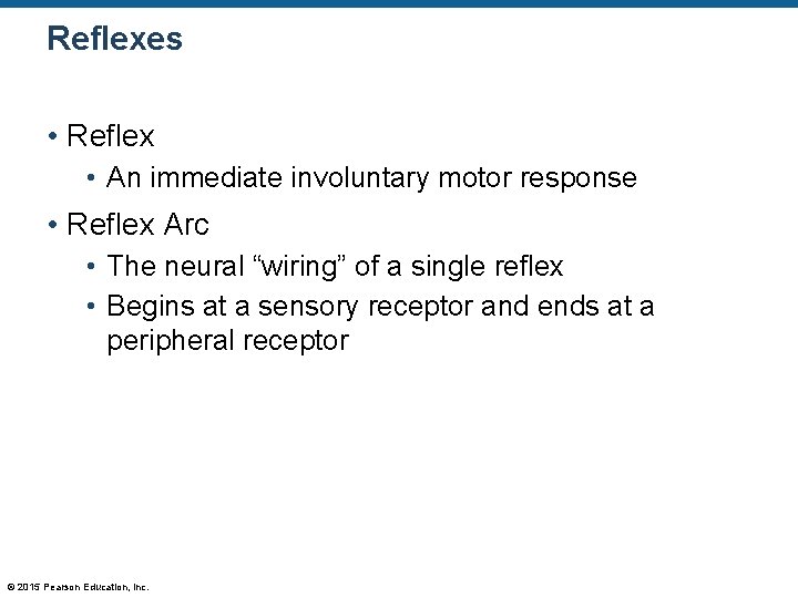 Reflexes • Reflex • An immediate involuntary motor response • Reflex Arc • The