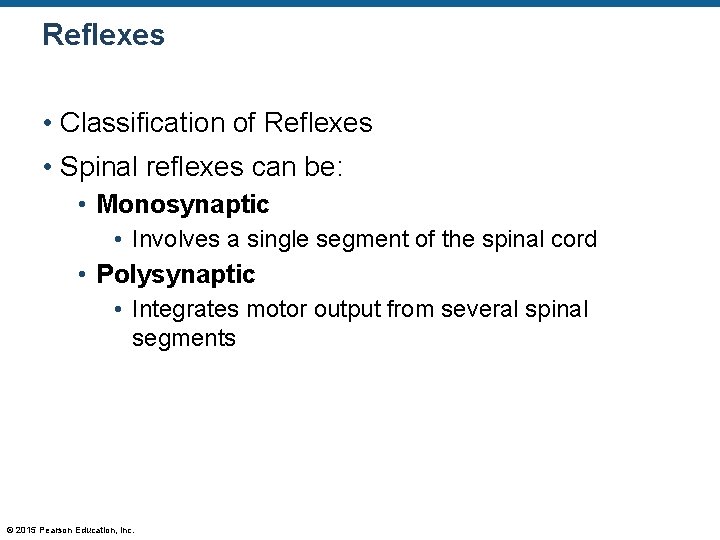 Reflexes • Classification of Reflexes • Spinal reflexes can be: • Monosynaptic • Involves