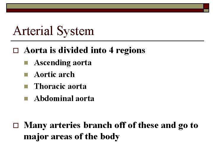 Arterial System o Aorta is divided into 4 regions n n o Ascending aorta