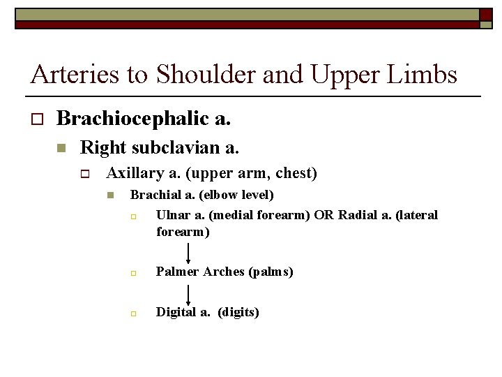 Arteries to Shoulder and Upper Limbs o Brachiocephalic a. n Right subclavian a. o