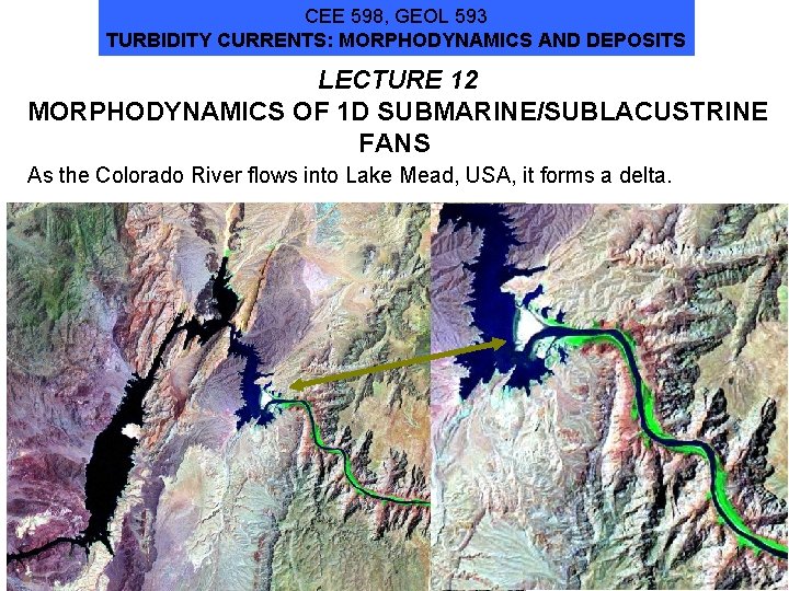 CEE 598, GEOL 593 TURBIDITY CURRENTS: MORPHODYNAMICS AND DEPOSITS LECTURE 12 MORPHODYNAMICS OF 1