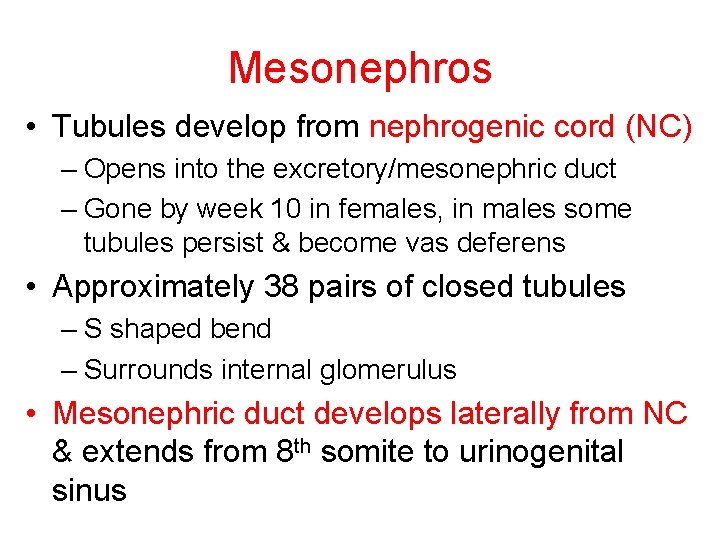 Mesonephros • Tubules develop from nephrogenic cord (NC) – Opens into the excretory/mesonephric duct