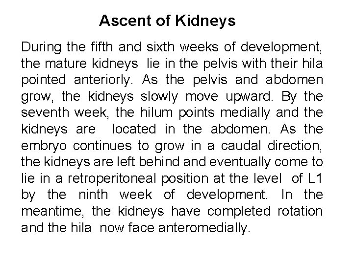 Ascent of Kidneys During the fifth and sixth weeks of development, the mature kidneys