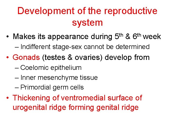 Development of the reproductive system • Makes its appearance during 5 th & 6