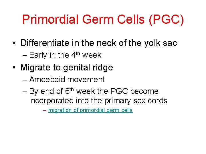 Primordial Germ Cells (PGC) • Differentiate in the neck of the yolk sac –