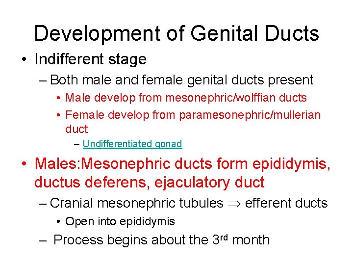 Development of Genital Ducts • Indifferent stage – Both male and female genital ducts