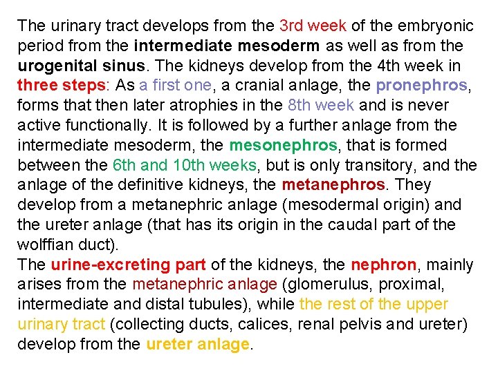 The urinary tract develops from the 3 rd week of the embryonic period from