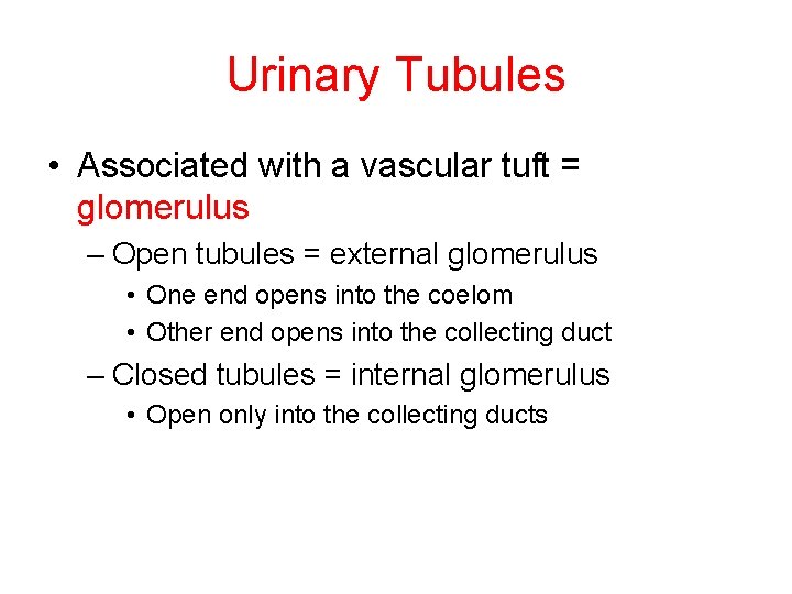 Urinary Tubules • Associated with a vascular tuft = glomerulus – Open tubules =
