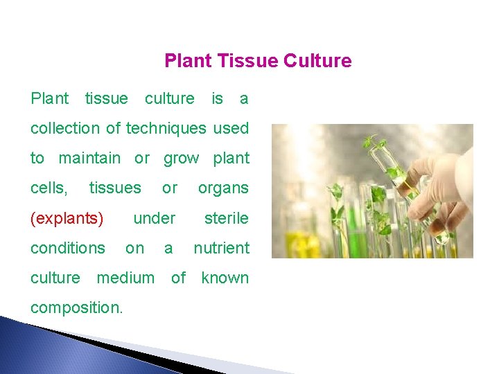 Plant Tissue Culture Plant tissue culture is a collection of techniques used to maintain