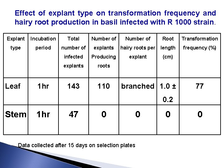 Effect of explant type on transformation frequency and hairy root production in basil infected