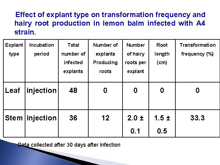 Effect of explant type on transformation frequency and hairy root production in lemon balm