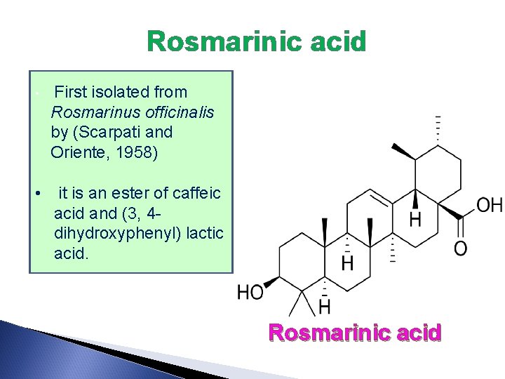  Rosmarinic acid • First isolated from Rosmarinus officinalis by (Scarpati and Oriente, 1958)