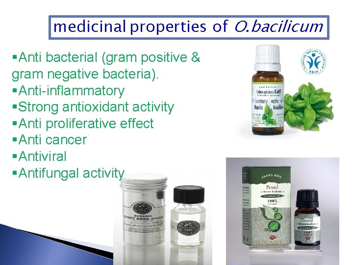 medicinal properties of O. bacilicum §Anti bacterial (gram positive & gram negative bacteria). §Anti-inflammatory