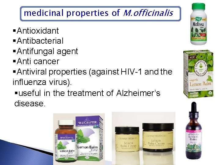 medicinal properties of M. officinalis §Antioxidant §Antibacterial §Antifungal agent §Anti cancer §Antiviral properties (against